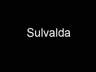 Logo - Case: Small & Medium Enterprise - Sulvalda